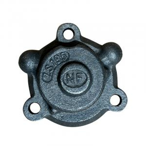 Насос масляный ZS1100