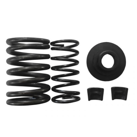 Комплект пружин (2шт) клапана для 242 от интернет-магазина rossel.by