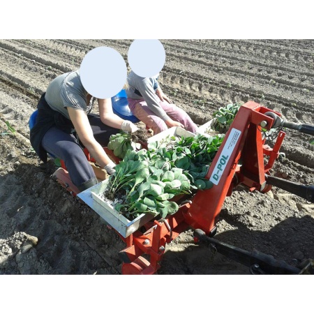 Рассадопосадочная машина D-pol двухрядная от интернет-магазина россел.рф